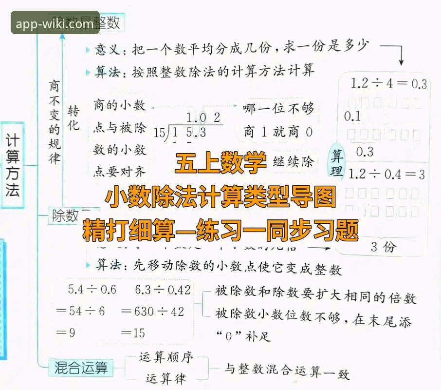 为什么选择维基体育官网APP？从五个维度解析正版应用的价值